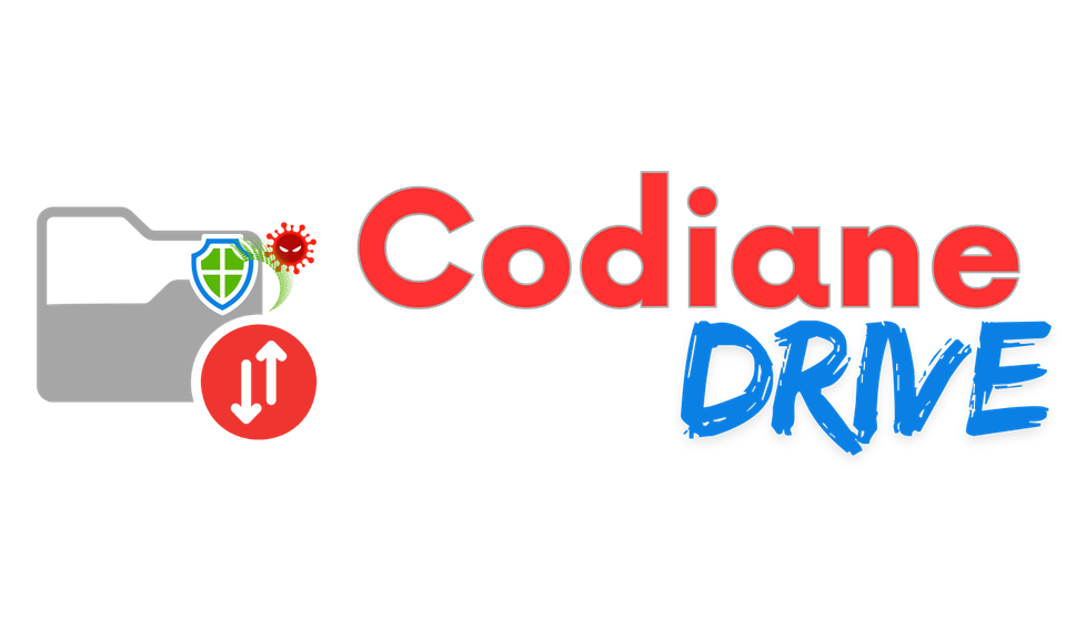 Codiane Drive - La Sécurité de vos Données